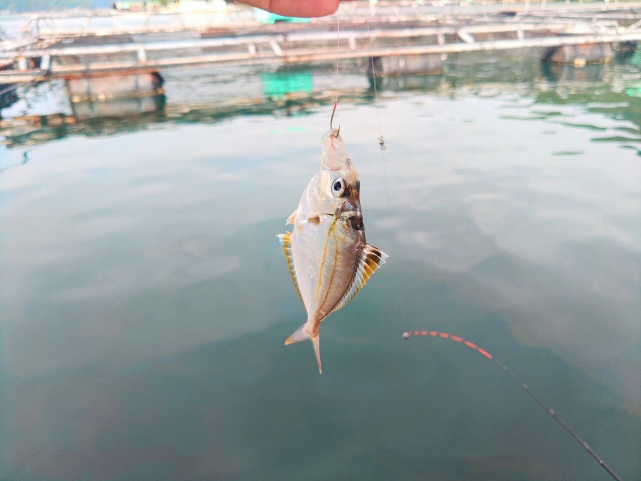 FB_IMG_1759014889503