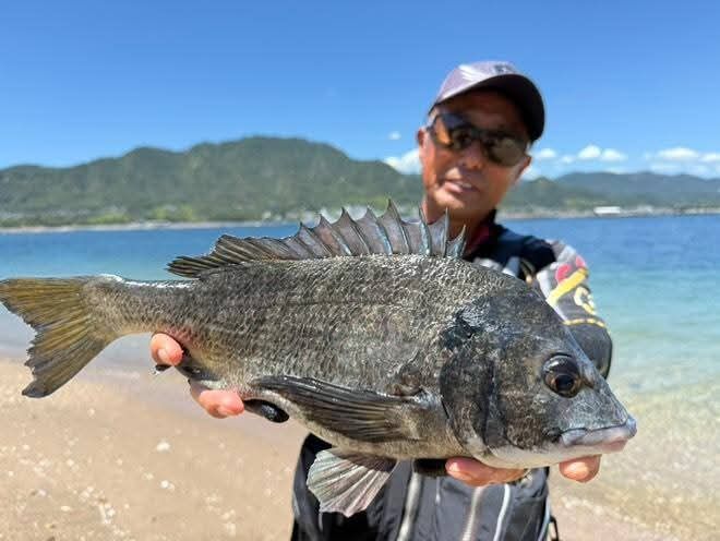 日曜日は広島湾宮島の砂浜でチヌの渚釣りの撮影でした😉🎵