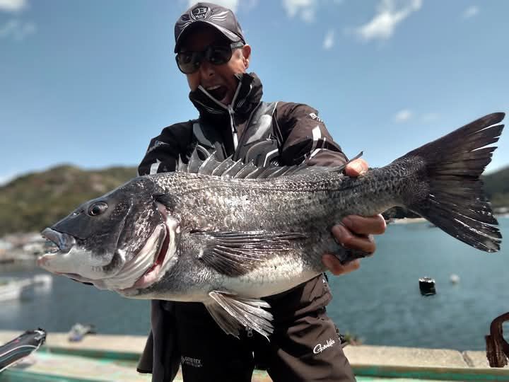 昨日の高知県須崎市の野見湾でのチヌ釣りは