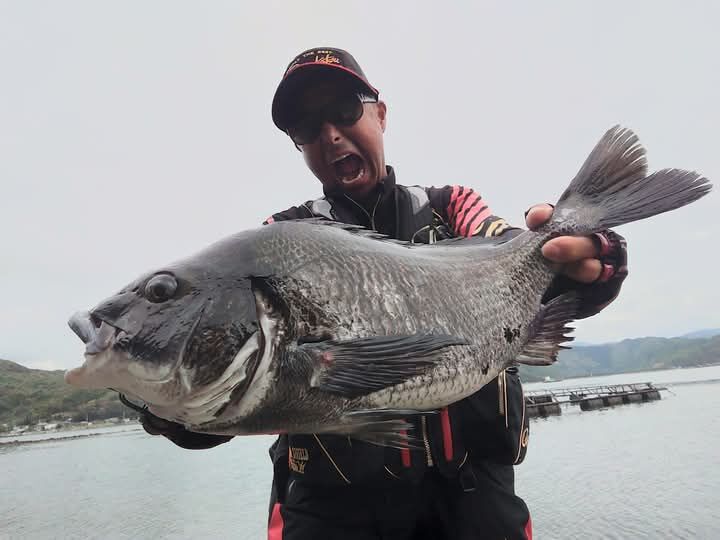 先日の愛媛県宇和島市津島町の地方でのチヌ釣りは