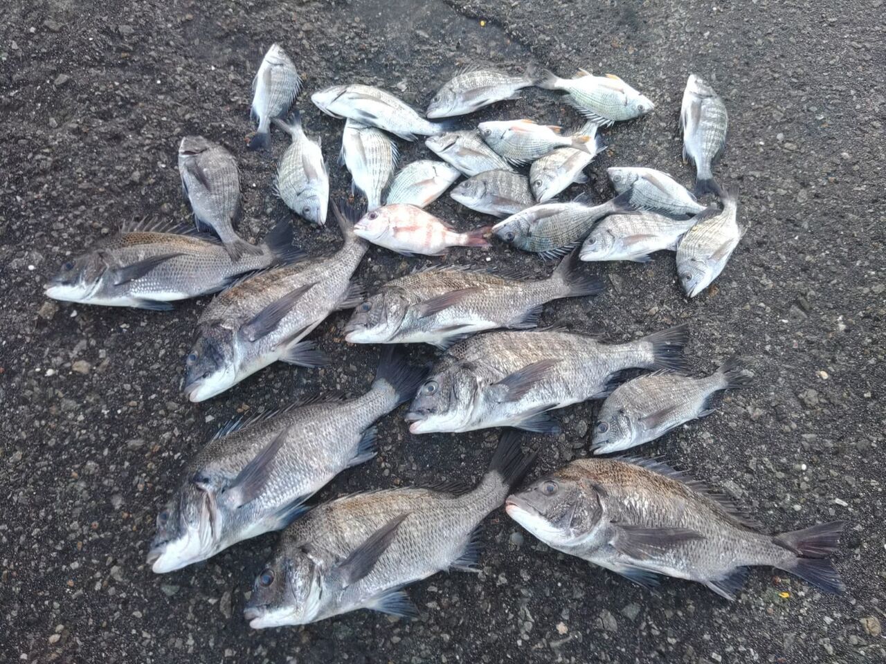 FB_IMG_1761653196821