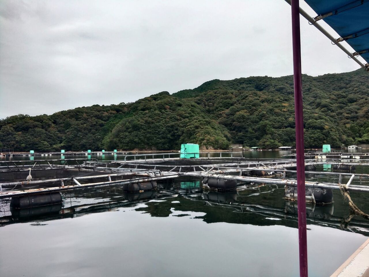 FB_IMG_1759015176847