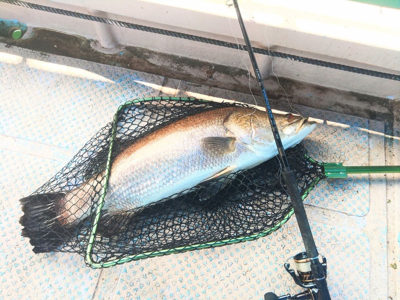 FB_IMG_1759015426241