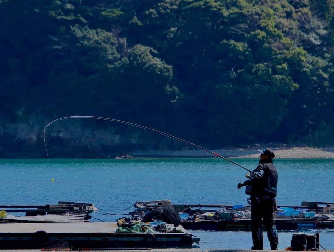 3月20日までに60㎝オーバーのチヌを釣って下さい‼️との事で
