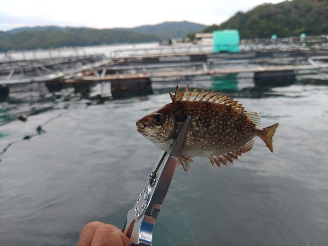 FB_IMG_1759015173442