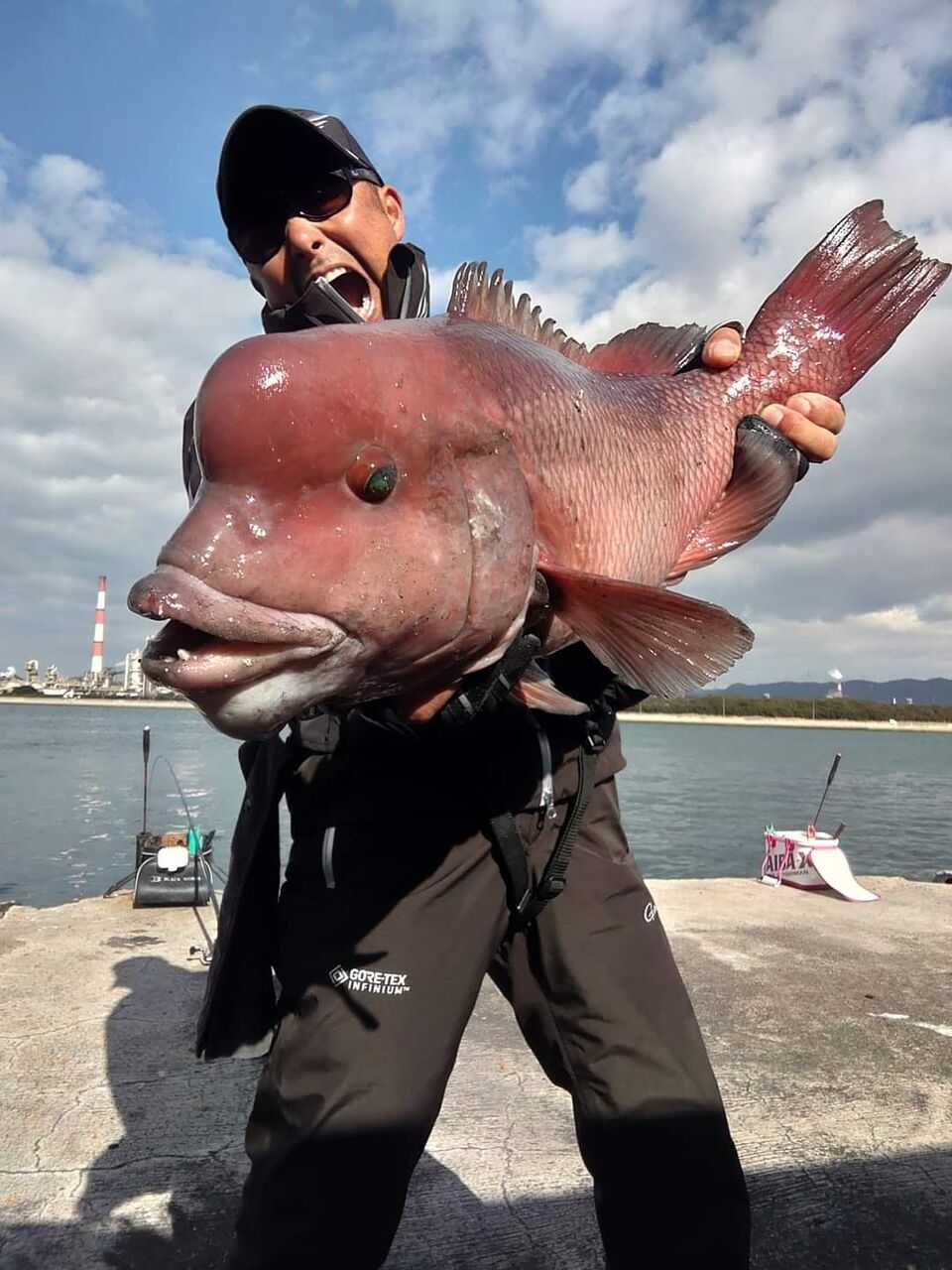 ８日の近所の水島沖の波止でのチヌ釣りは