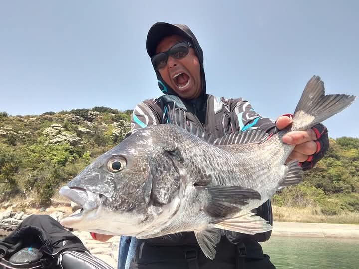 今日の香川県詫間沖でのチヌ釣りは、朝一はチヌのアタリもエサ盗りも全然無し😯