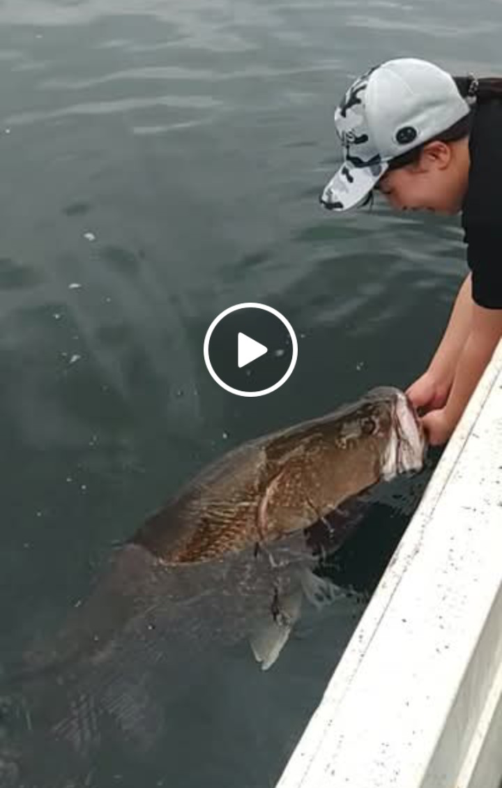 Screenshot_20251027-062837~2