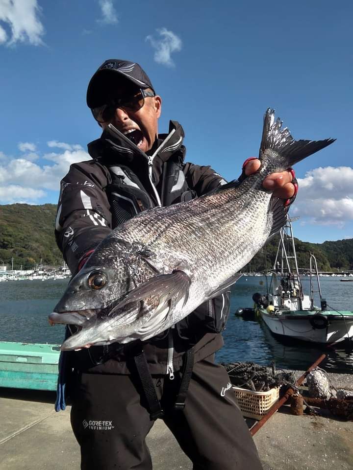 急遽　高知県野見湾の地方でチヌ釣りでした😅
