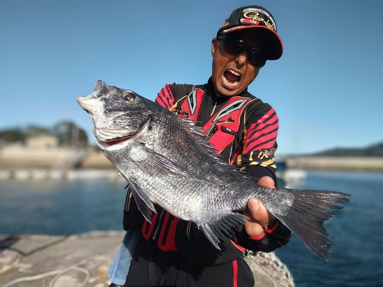 広島県尾道沖しまなみ海道でのチヌ釣りは