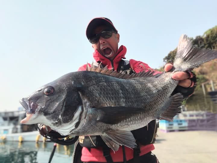 先日の高知県野見湾の地方でのチヌ釣りは