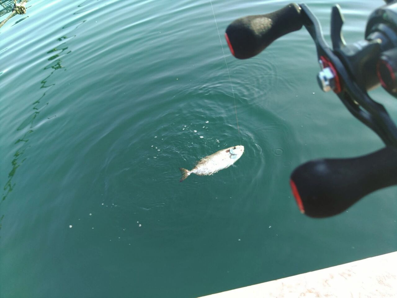 FB_IMG_1759014887047