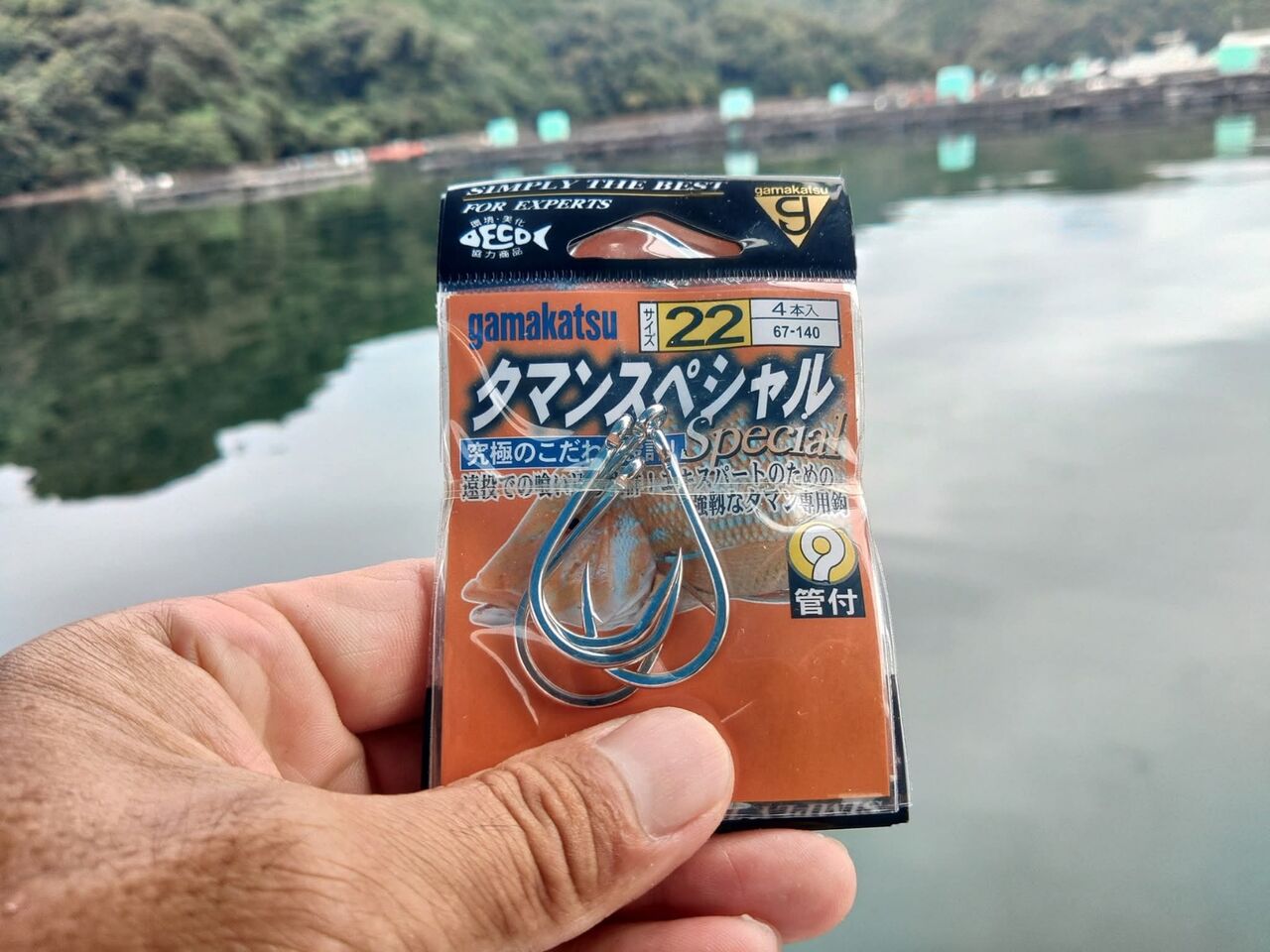 FB_IMG_1759015183974