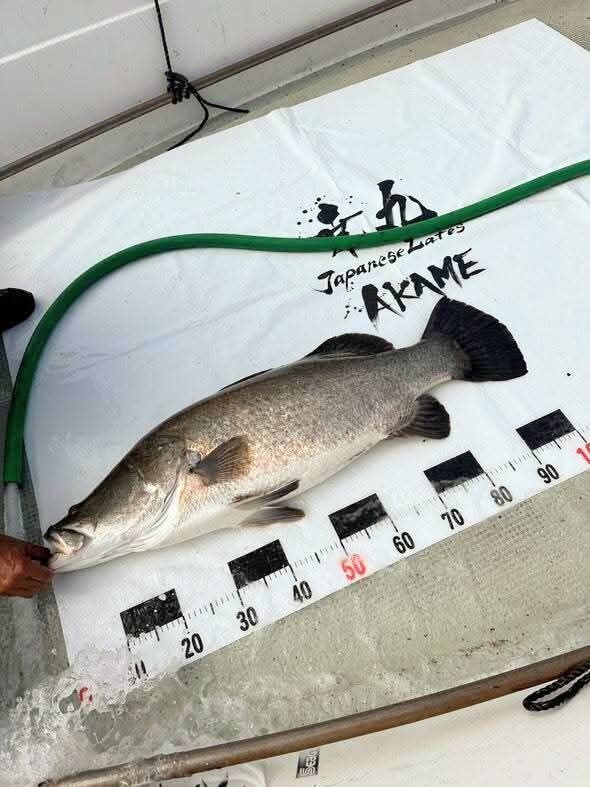 FB_IMG_1759015427794