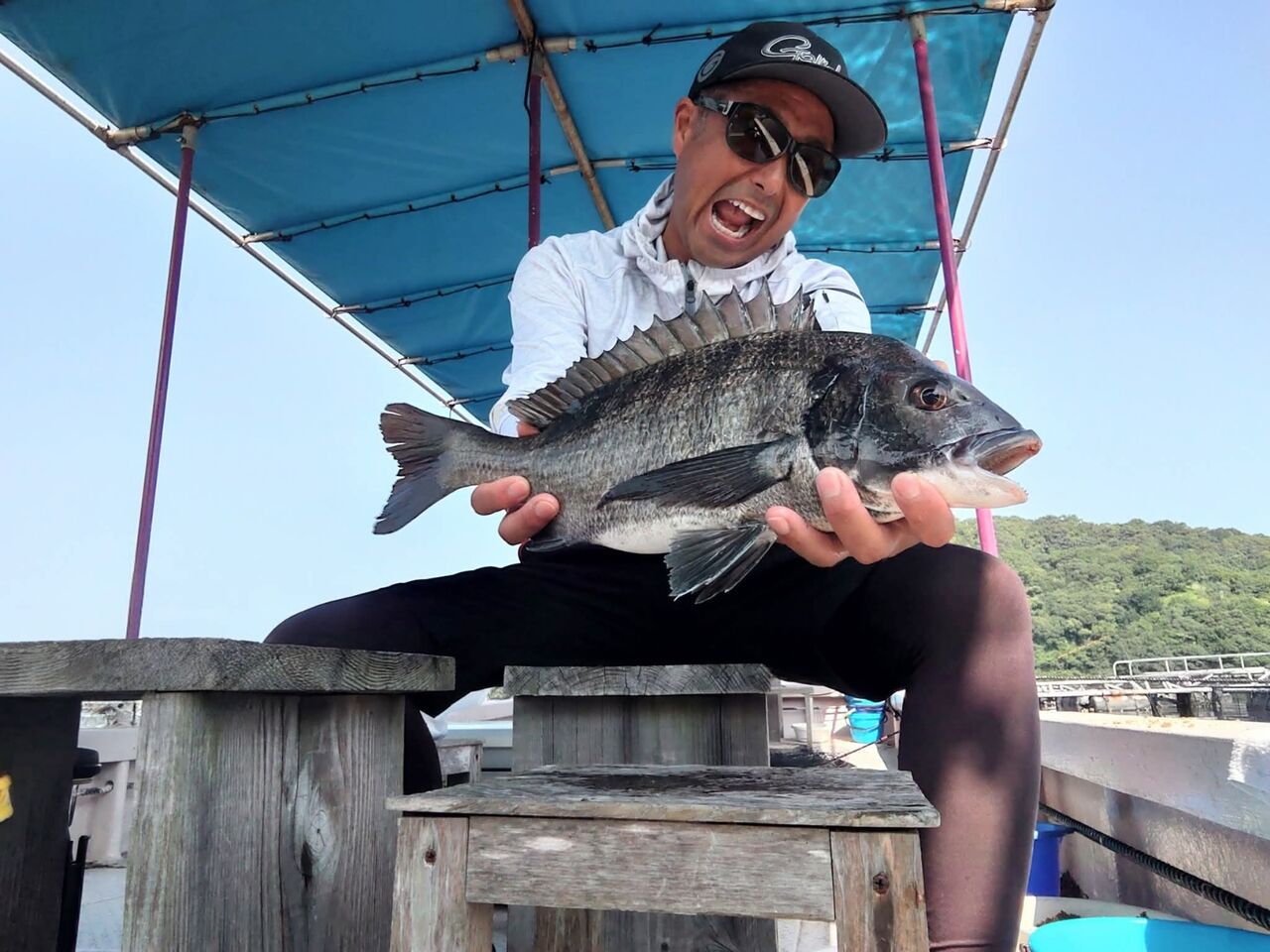 磯釣りスペシャル　15冊セット　グレ釣り 磯釣りスペシャル 15冊セット グレ釣り 書籍・ムック一覧