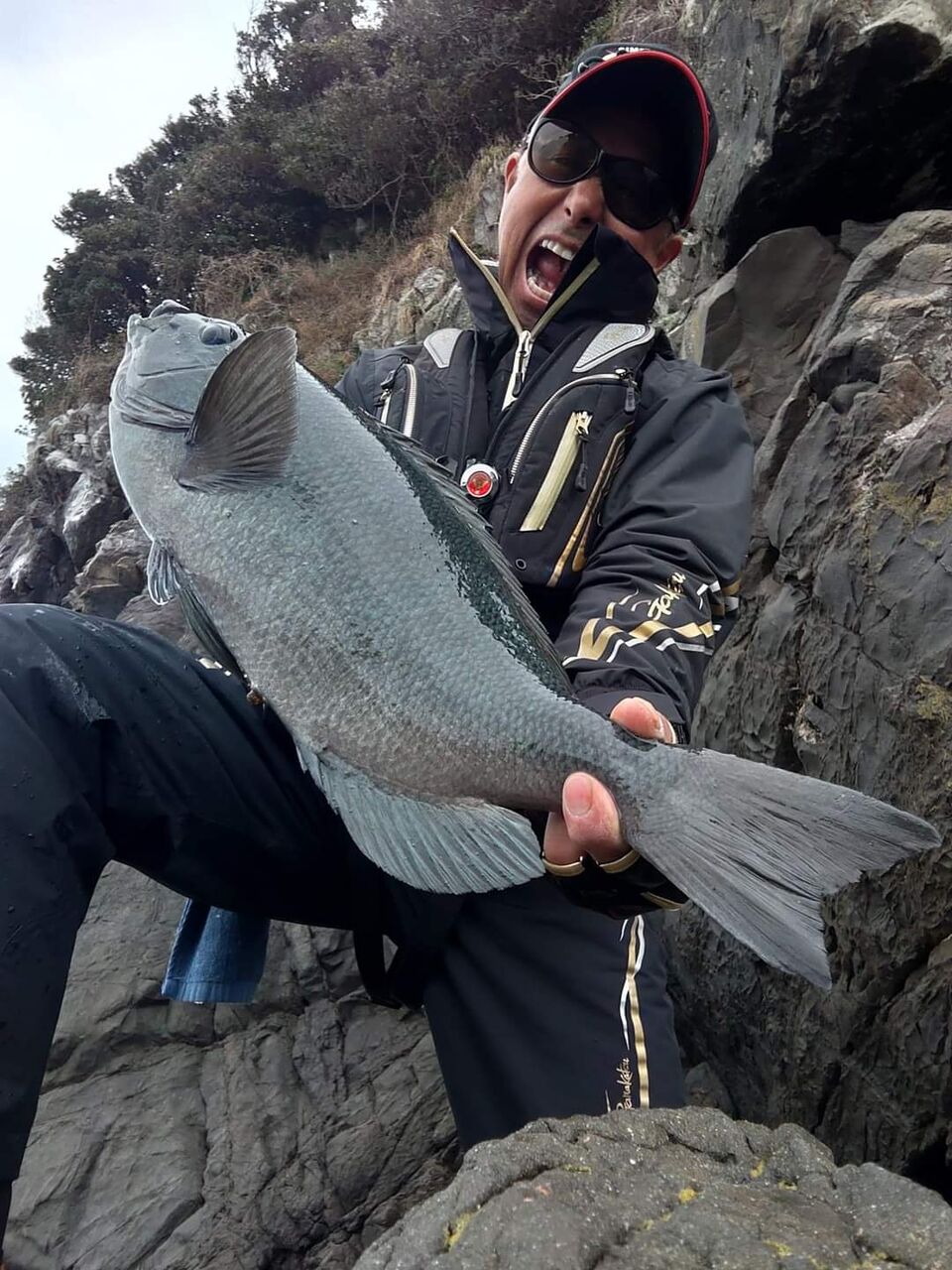 木曜日の愛媛県宇和島の日振島でのグレ釣りは