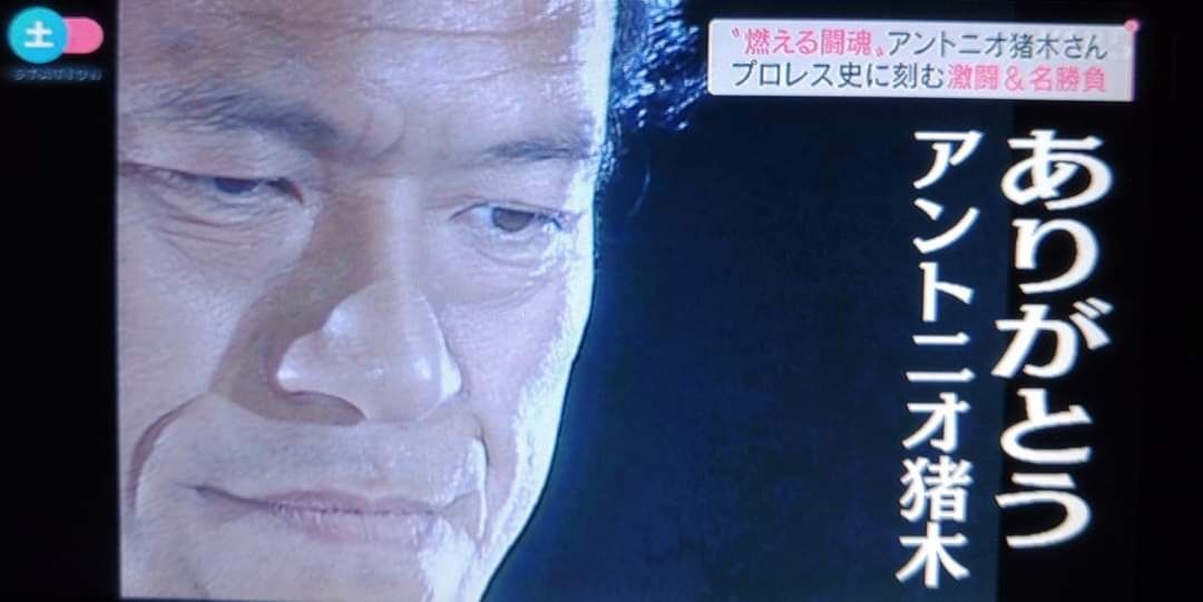 昔、チャリで倉敷体育館や、電車で岡山武道館に必ず観に行ったな…😞