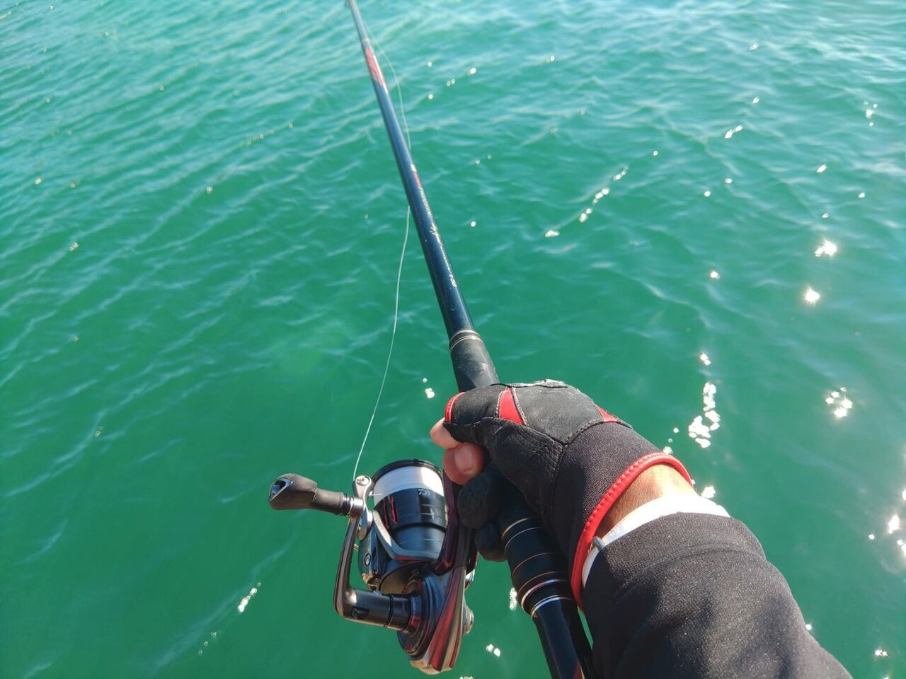 FB_IMG_1761653200723