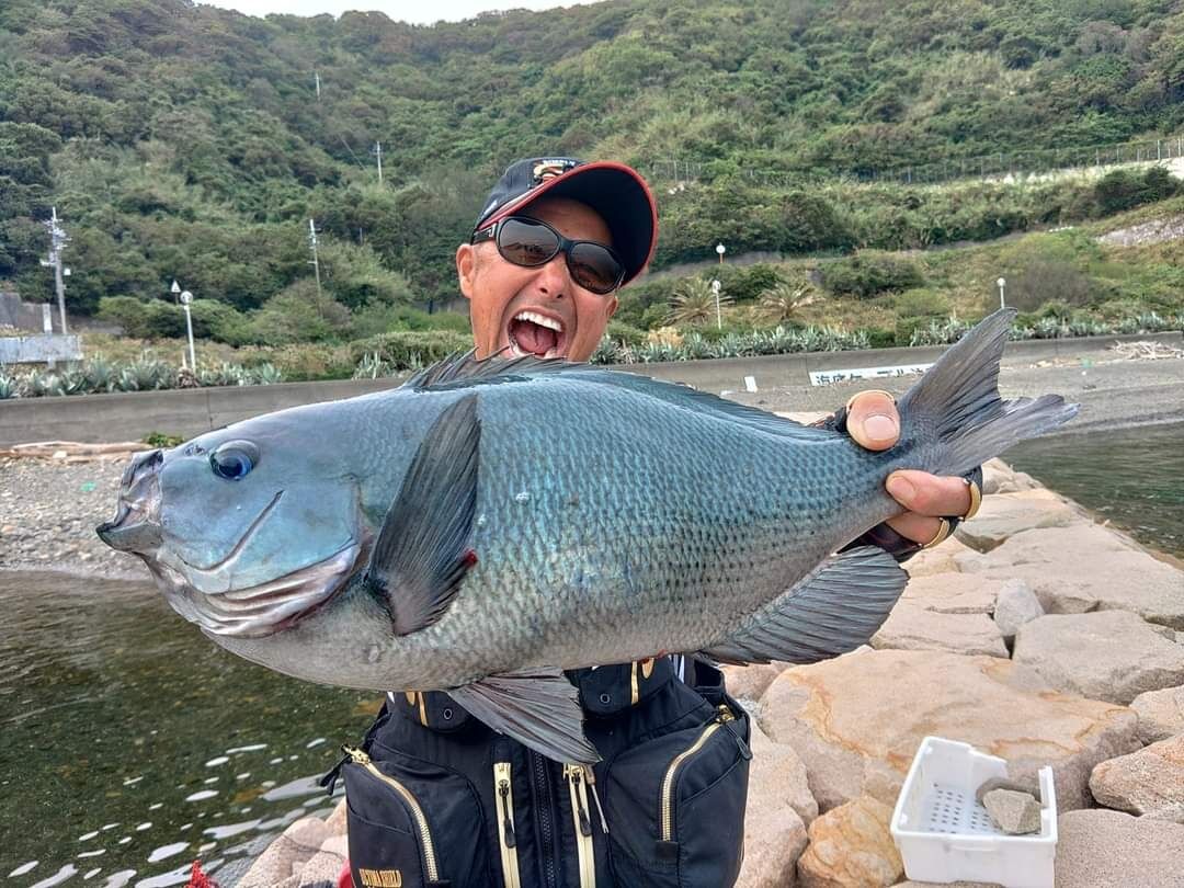 先日の愛媛県宇和島の日振島でのグレ釣りは