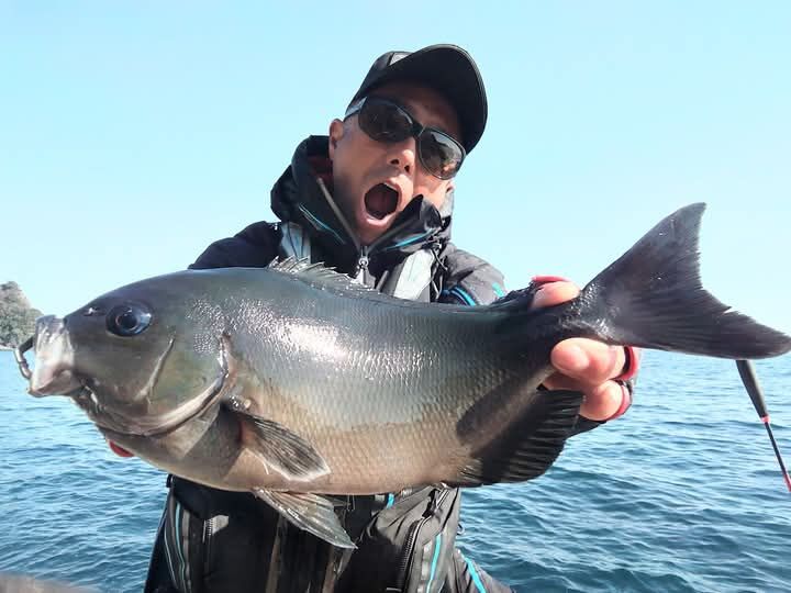 先日の高知県池ノ浦沖でのグレ釣りは