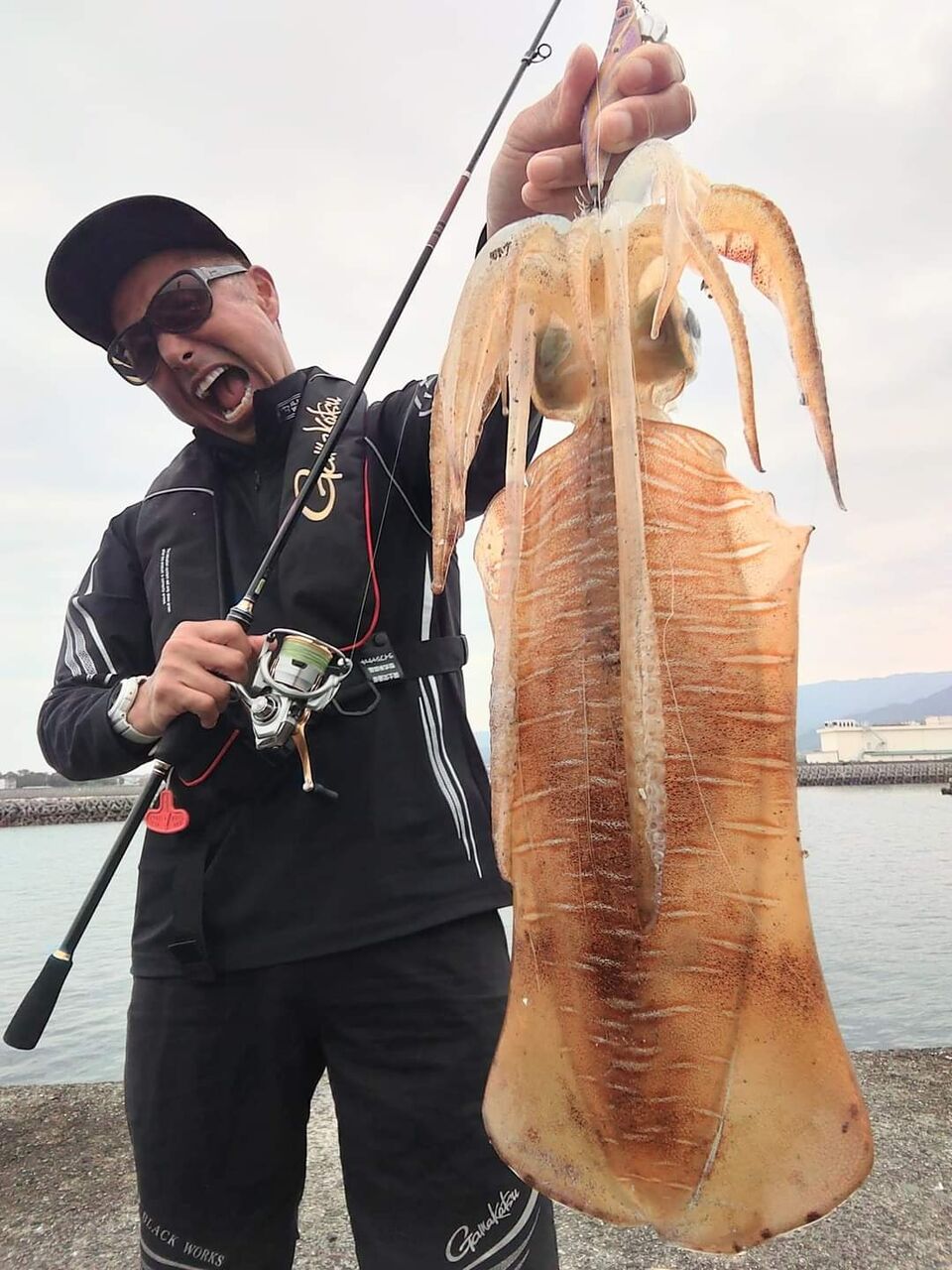 昨日の香川県箕浦沖でのエギングは
