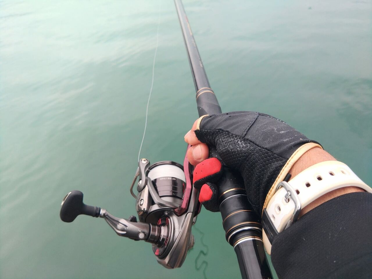 FB_IMG_1761652801097