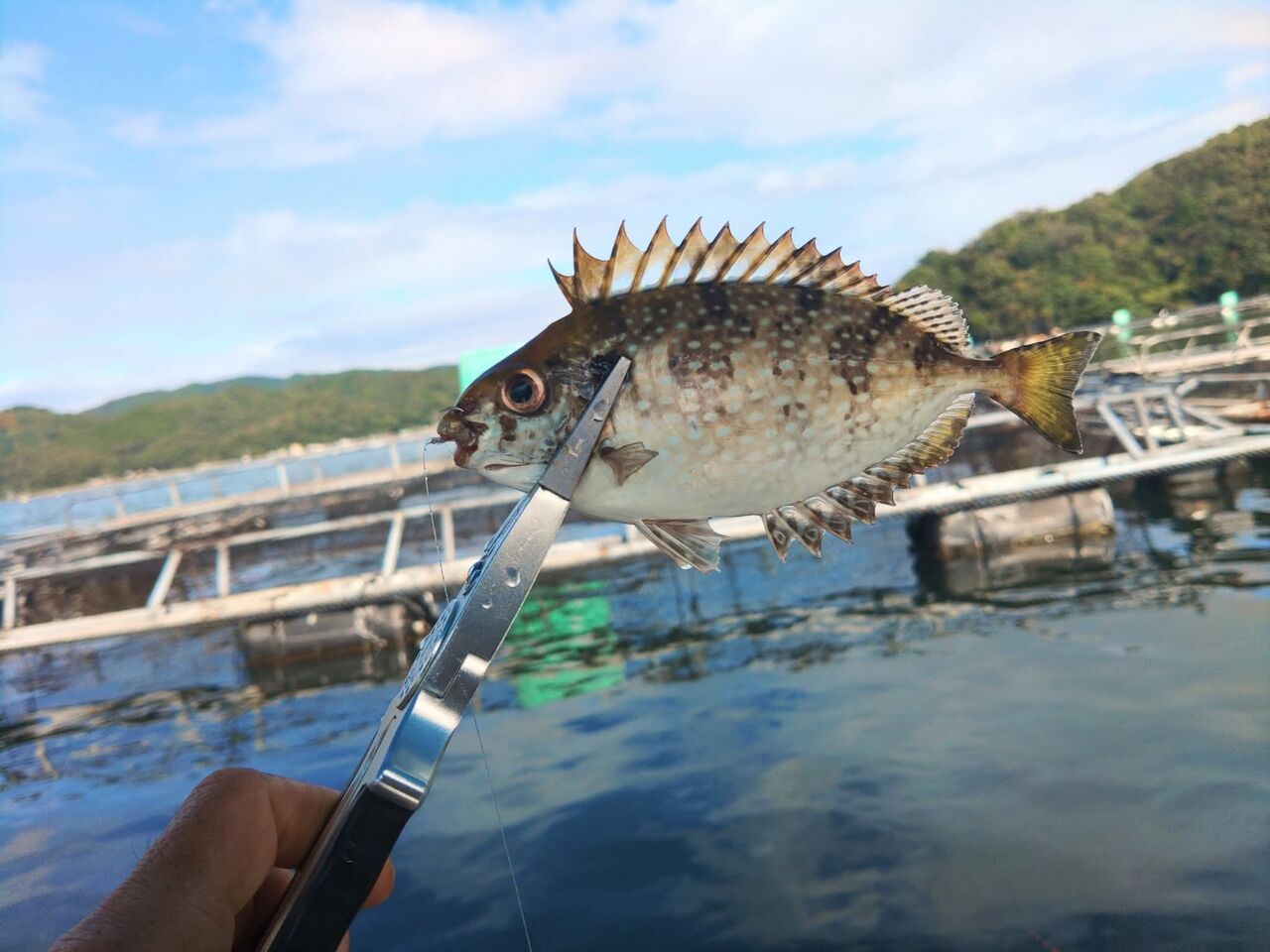 FB_IMG_1761653625151