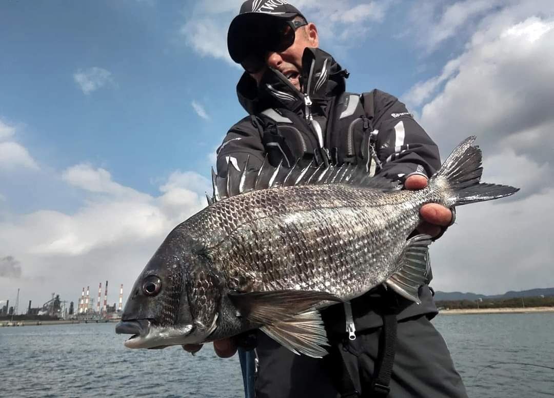 釣り名人の南康史さんから倉敷沖水島のチヌを頂きました。