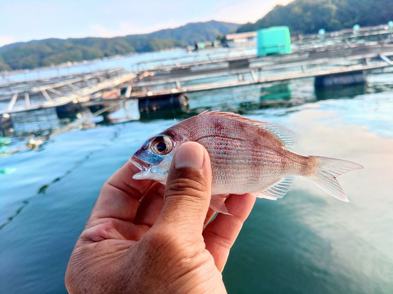 FB_IMG_1759014891537