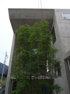 120811¥·¥Þ¥È¥Í¥ê¥³