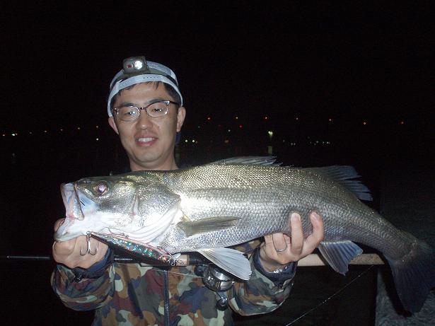 宮城県の夏のルアーゲーム シーバス編 Seed Member S 釣行記