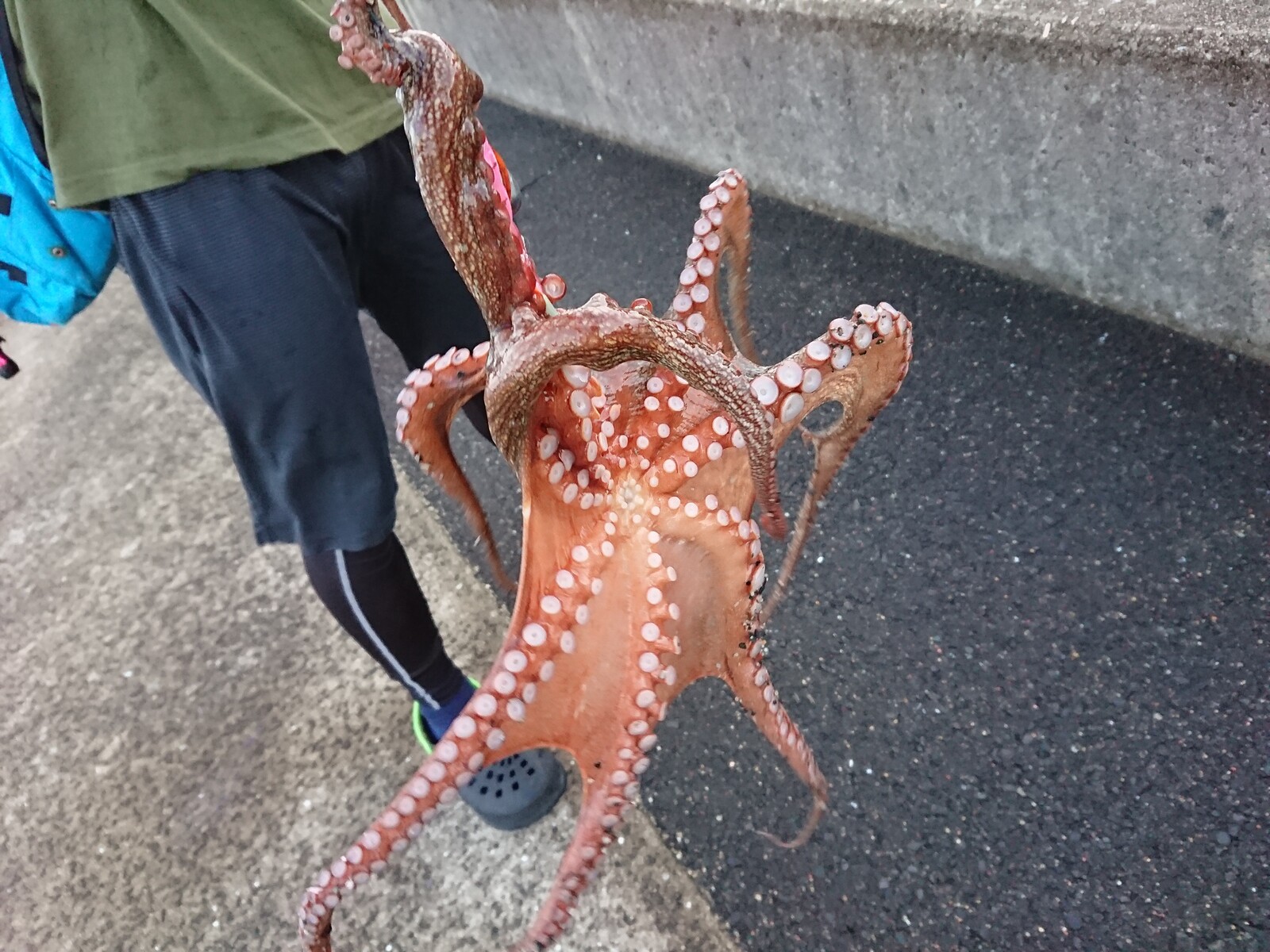 唐津タコ釣り リール ヌメリ付け 一投入魂 Club S釣行記 唐津タコ釣り リール ヌメリ付け 一投入魂 Club S釣行記
