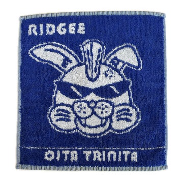 ミニタオル リッジー表