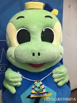 ニータンブログ用