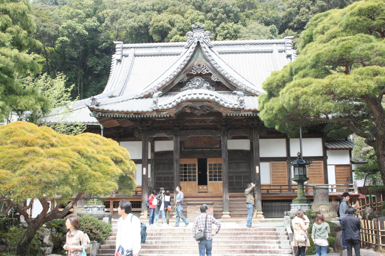 ６月２１日放送 浄化によいパワースポット 修禅寺 奥の院 セドナ シャスタ パワースポット巡り スピリチュアルな社長の日記