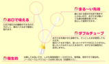 5f0ecaf5.png
