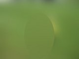 ステロイド点滴後