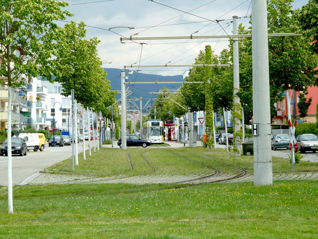 ɥĥե饤֥륰ԤΥȥ