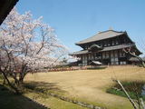 奈良東大寺の春