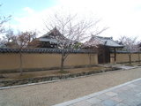 法隆寺の春
