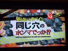 同じ穴のホンマでっか!?