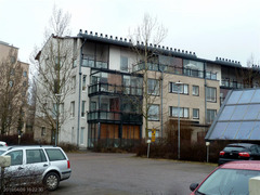 ASO_Eco-Viikki