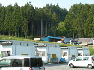 仮設団地裏山の杉林と木材加工場