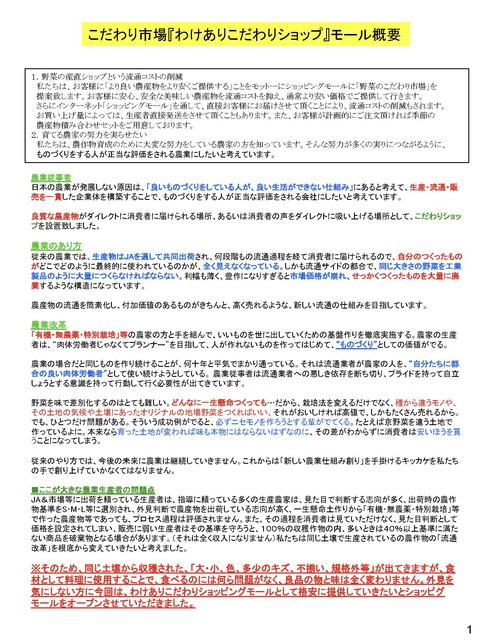 2-ショップモール・宅配サービス構想概要説明