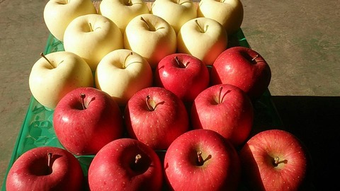 10986186_1646811618865220_7957452644234943361_n