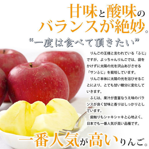 葉とらずサンふじ写真-3