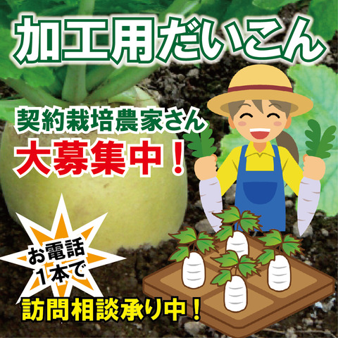 daikon[1]