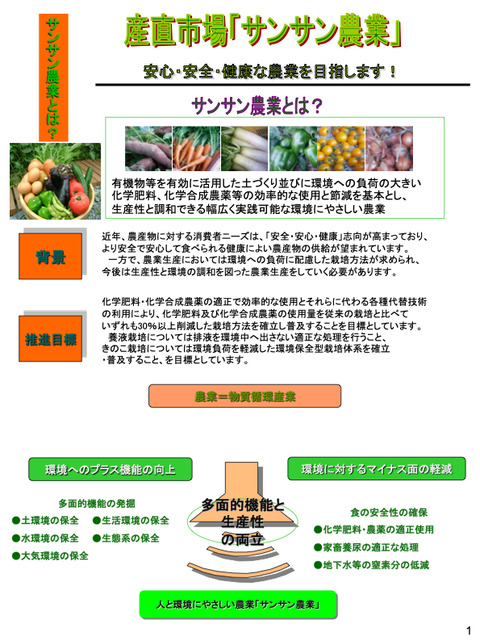 1-3-3ショップモール・宅配サービス構想概要説明
