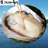 0911のコピー2