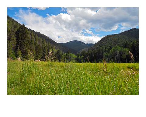 manabiya_01-03